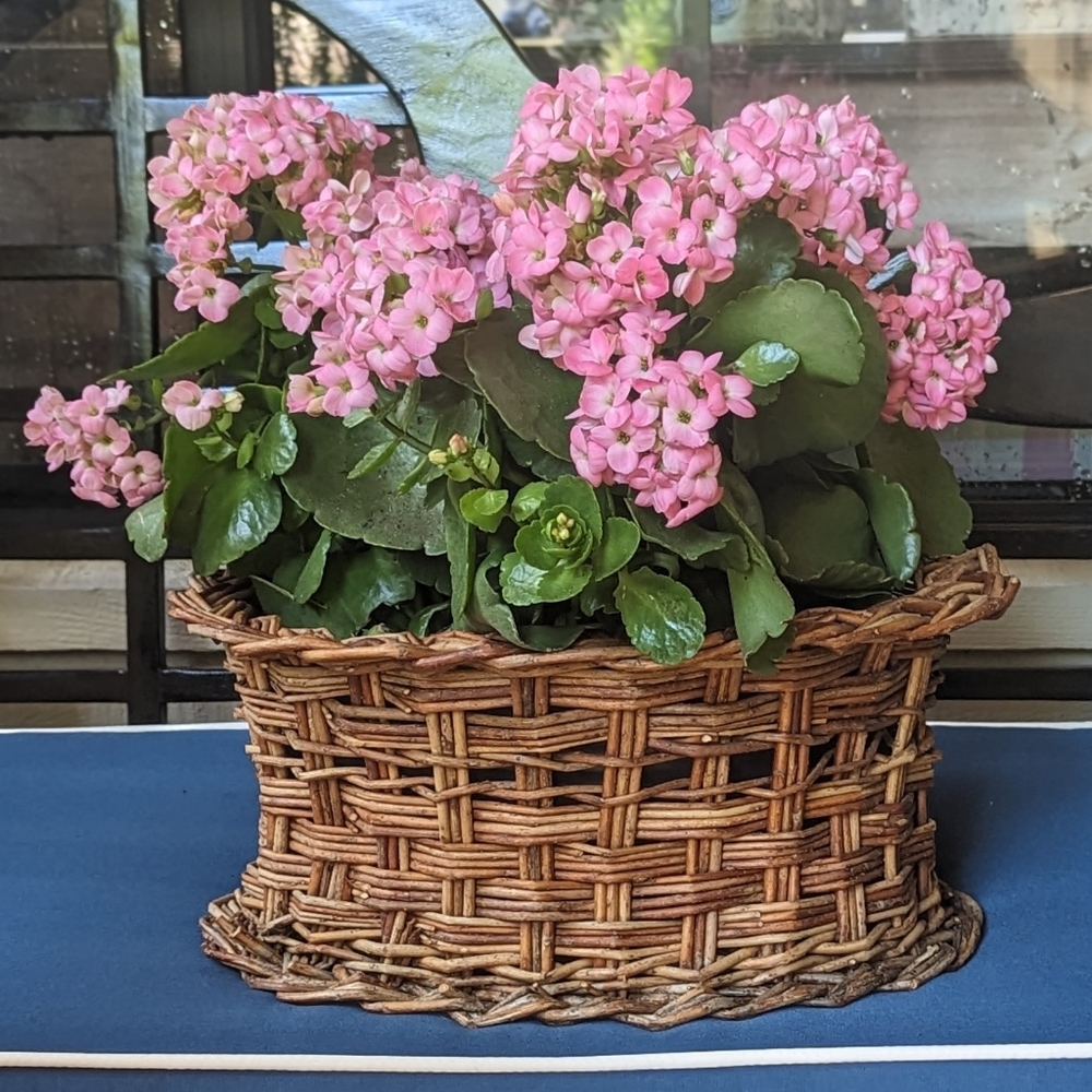 Rare Vintage Wicker Planter, Jardiniere, Cache Pot, with Fitted Metal Liner